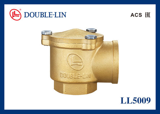 16 Bar 1 Inch Kuningan Swing Check Valves BS2779 Wanita X Wanita